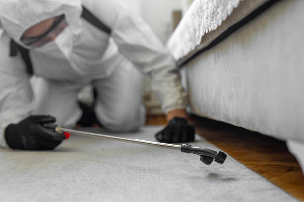 Professional Bed Bug Control technician working in Chipley, FL